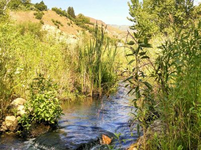 picture of Boise River