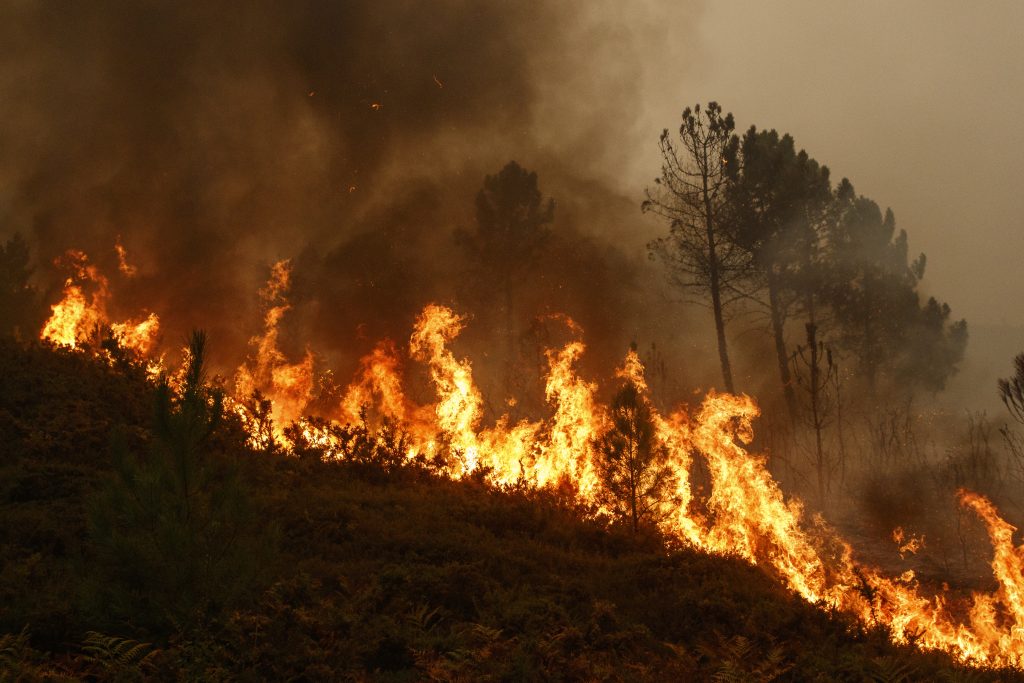 Image of forest fire from Maceda, Galicia / Spain - Oct 16 2017