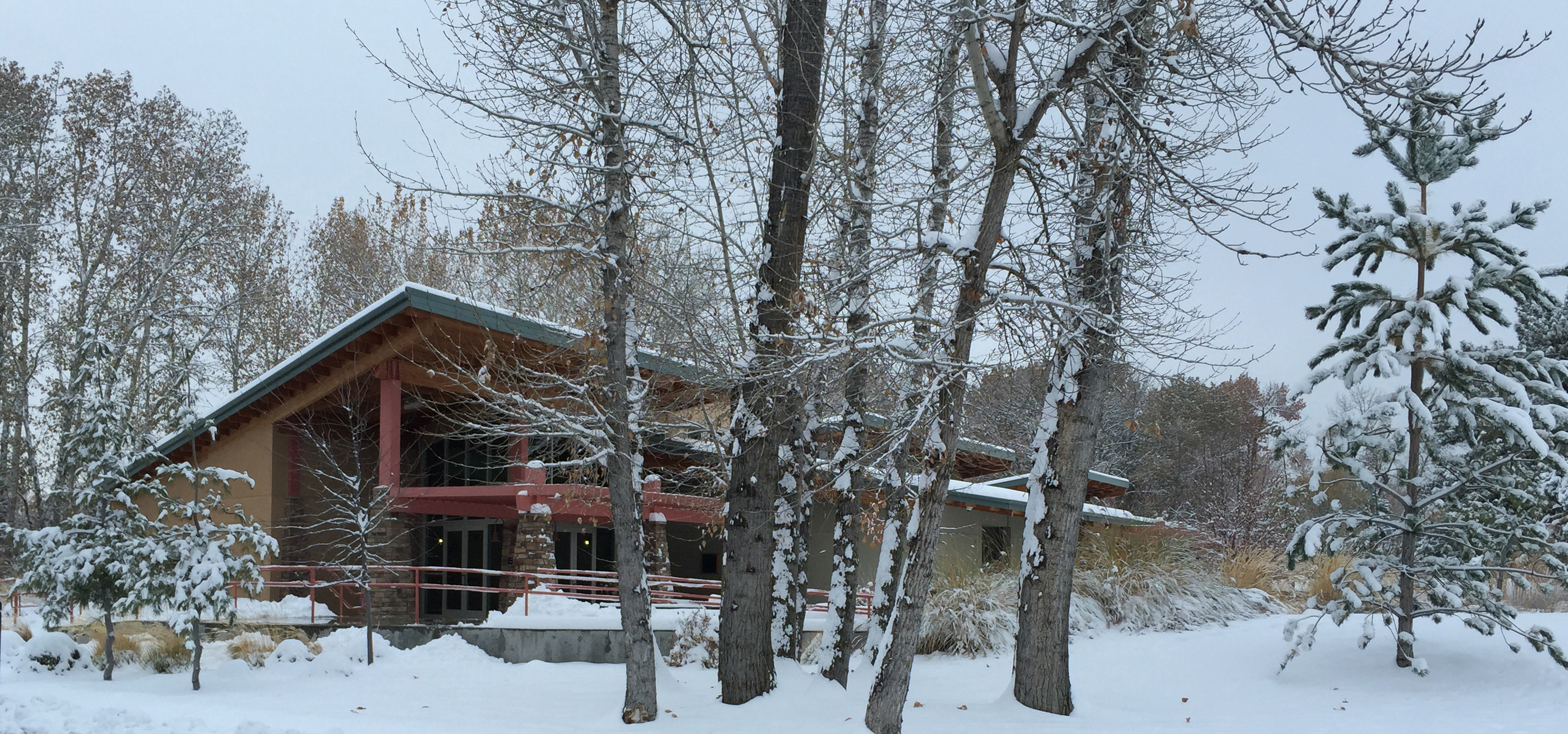 Snowing Trees in Barber Park