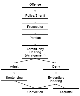 Juvenile Flow Chart