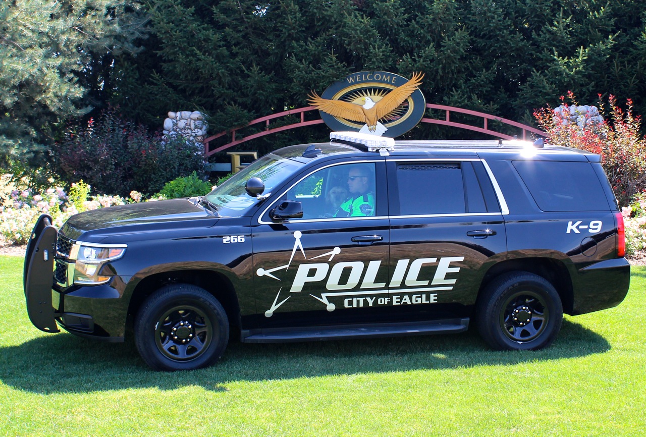 Police car with a cop and dog looking out of the window